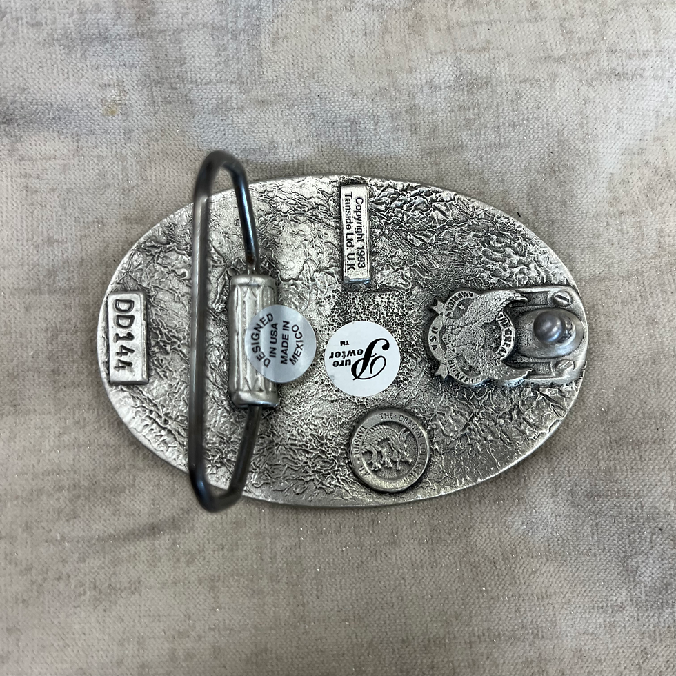 Proud to be Irish Back View