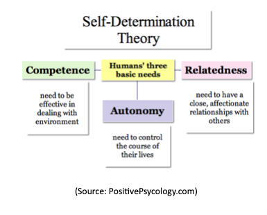 Self determination theory jpeg