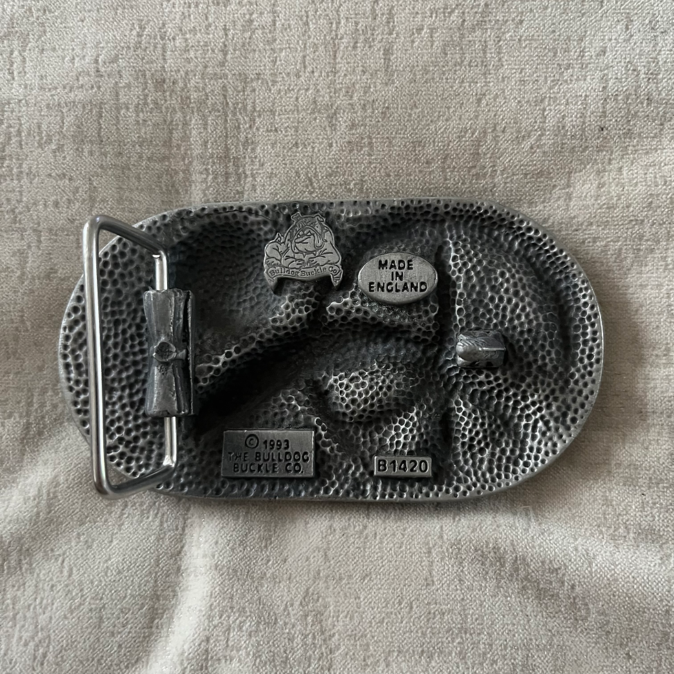 Peace Dolphin Back View