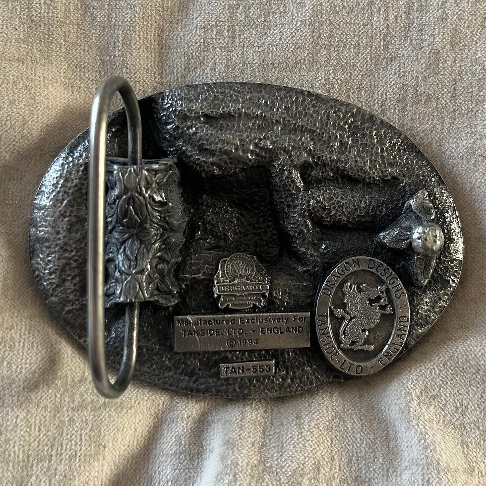 English Springer Spaniel Dog Buckle Back View