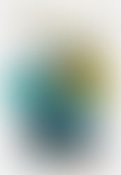 Aki Yamamoto Feltworks