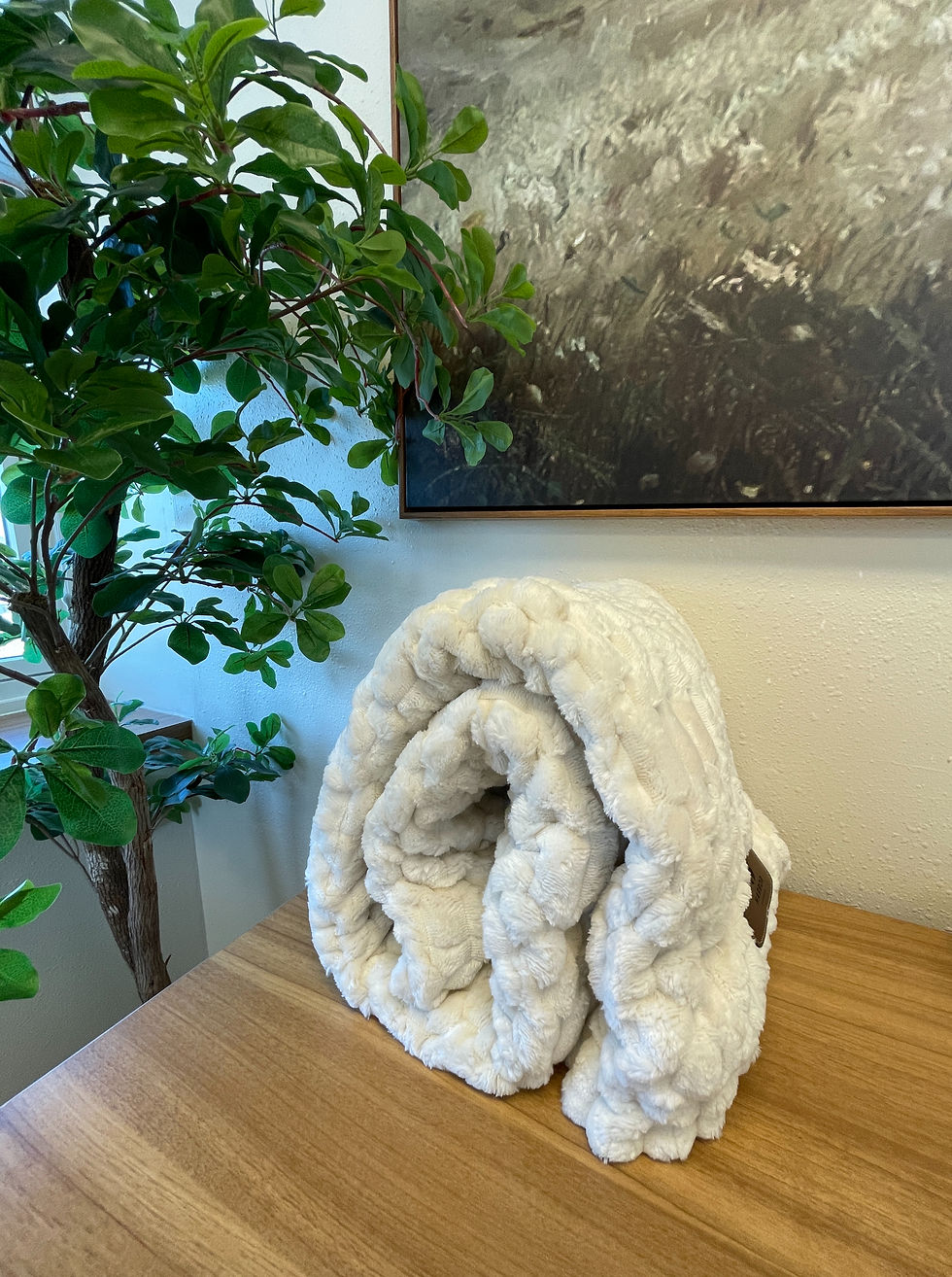 Thumbnail: Textured Microfleece Blanket