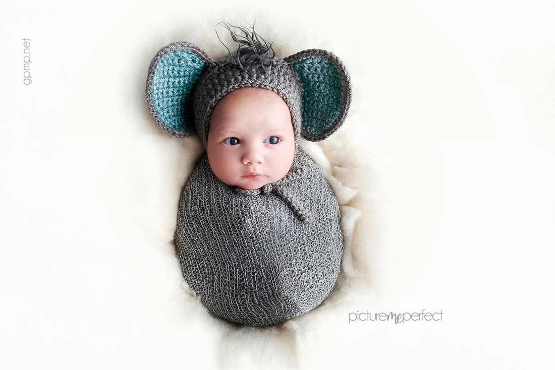 Awake newborn in a grey knitted elephant hat and swaddle, At his home in Miami Lakes,The Anchorage
