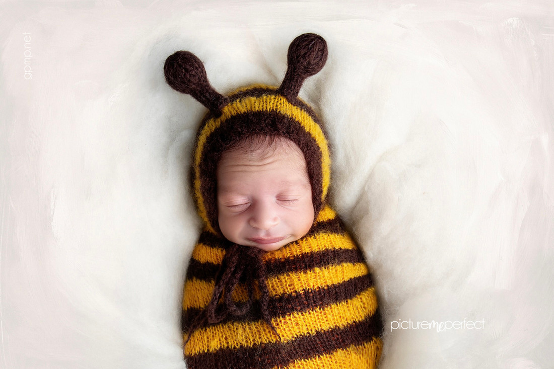 Smiling newborn boy  in a knitted bee costume swaddle, At his home in Miami Lakes,The Anchorage