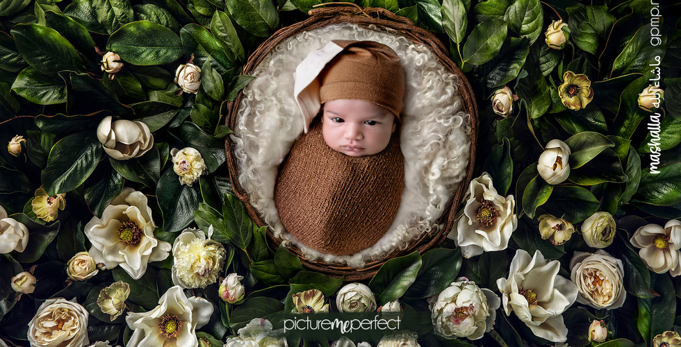 Awake newborn in woven basket surrounded by white roses, At his home in Miami , The Ridges