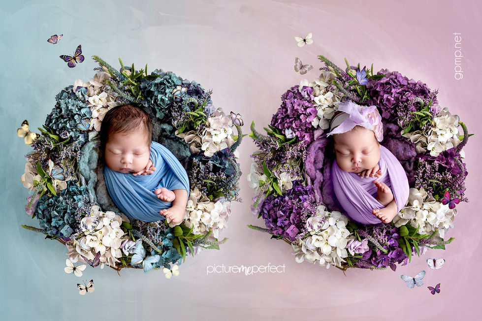 twins swaddled newborns sleeping in blue and purple floral wreaths, Miami photo shoot at Pembroke Shores