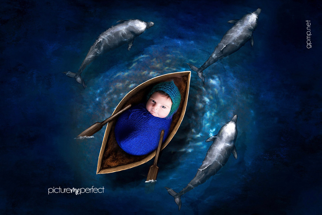 Smiling newborn in a small boat surrounded by dolphins, At the comfort of your home in Miami, Westchester