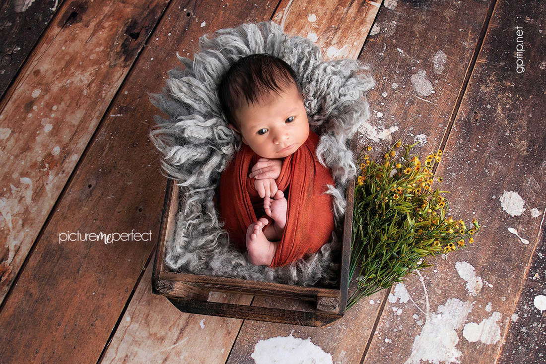 Awake, curious newborn in a rustic crate with flowers. At his home in Miami Lakes,The Anchorage