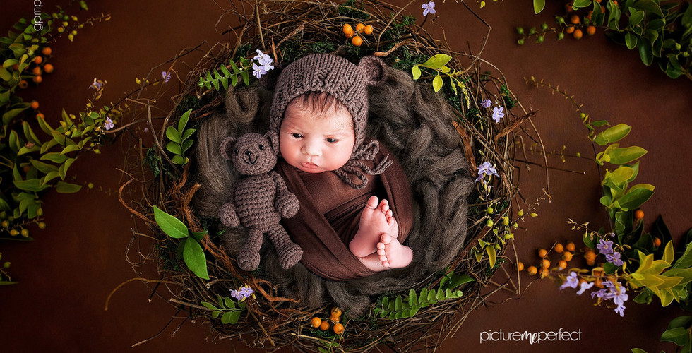 Awake newborn in a nest with a teddy bear, At his home in Miami , Sunset Lakes