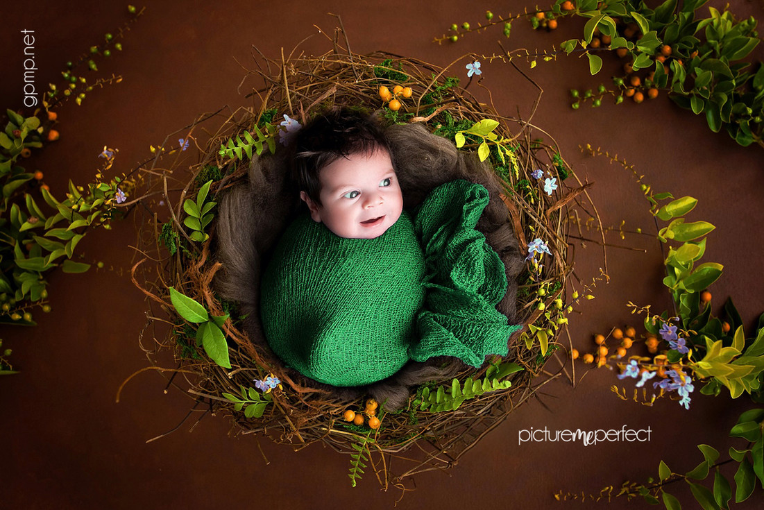 Smiling newborn wrapped in green in a decorative nest, At his home in Miami Lakes,The Anchorage