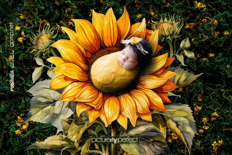 Sleeping newborn nestled inside a large sunflower bloom. Photo taken by Picture Me Perfect  at her home in Westfork  miami 