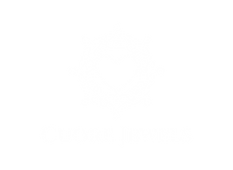 FullColor_TransparentBg_1024x1024_72dpi.