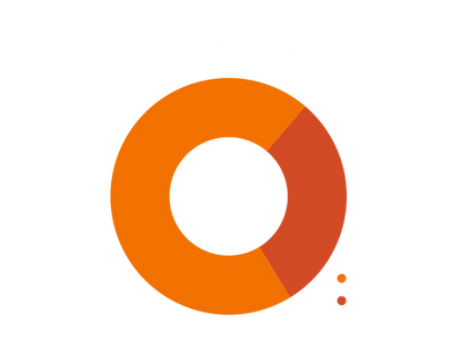 TikTok Gender.png