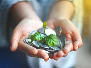 Hands holding coin and a plant.
