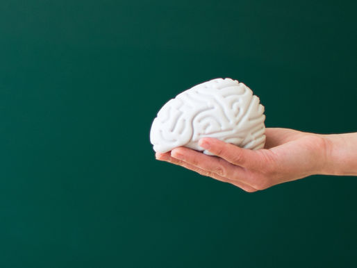 Hand holding brains.