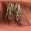 Thumbnail: Porcupine Quill Earrings