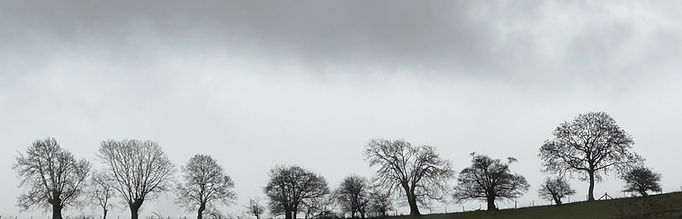 Silhouette View from the flat