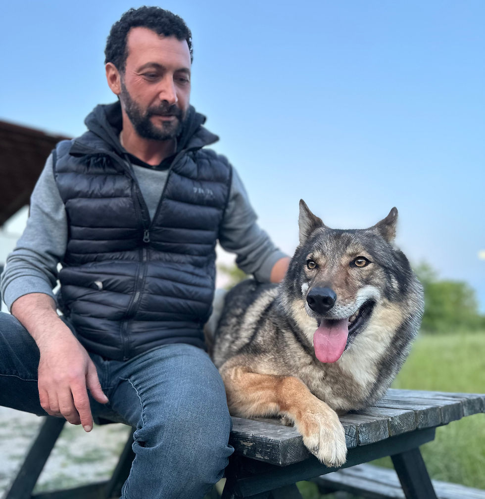 köpek eğitimi