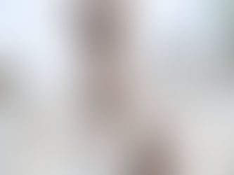 Poodle Nasıl Bir Köpektir?