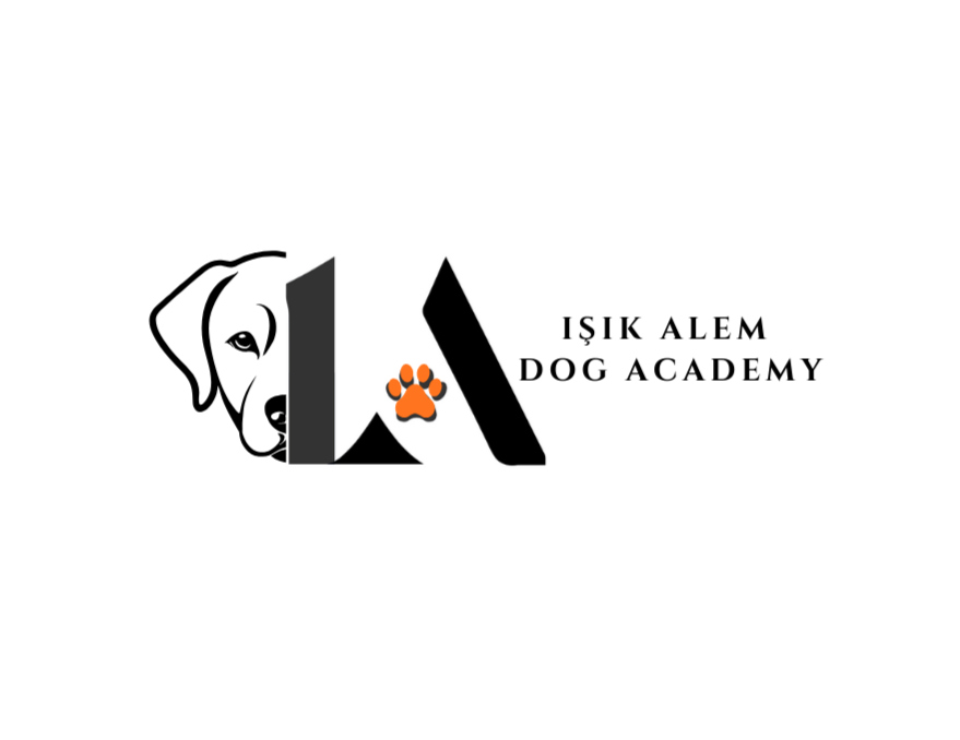 Yazarın fotoğrafı: Işık Alem Dog Academy