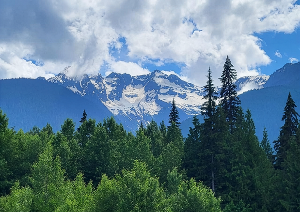 Mountain and forest view near Hummingbird Cabins 'n' Breakfast in the West Kootenay region of British Columbia