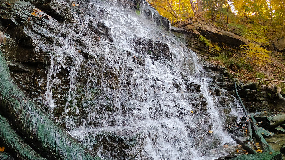 St catharines falls