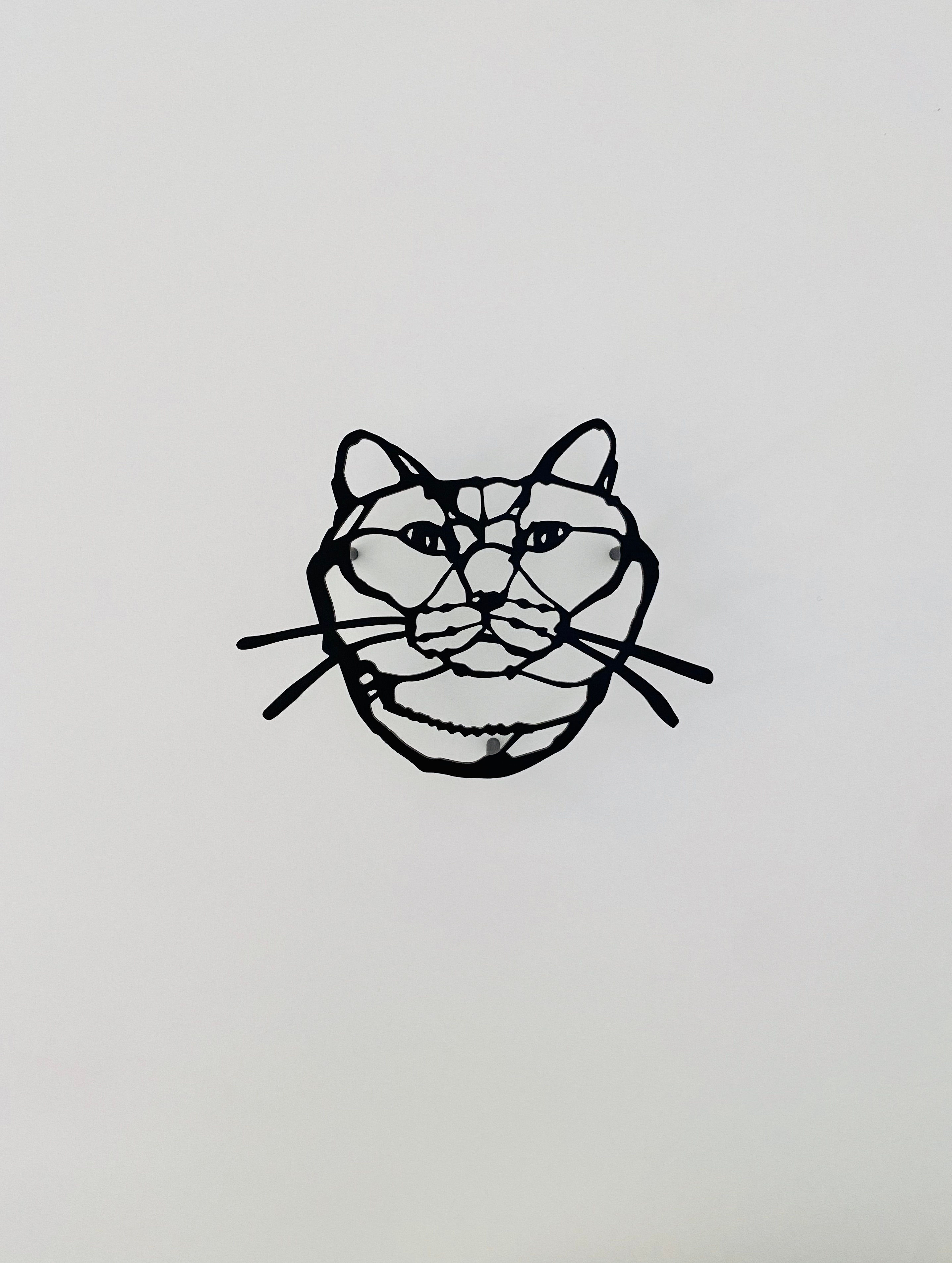 HAyU plate・ブリティッシュショート(black)