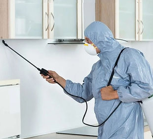 Pest Infestation Service
