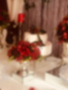 Ay Organizasyon Nişan (51)