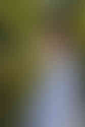 Céline en marinière, debout face au plan d’eau, dans une lumière printanière.