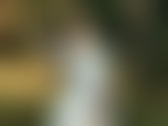 Séance photo grossesse à Cholet – Mandy