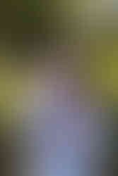 Jeune fille concentrée en train de souffler des bulles avec un flacon rose, en pleine nature.