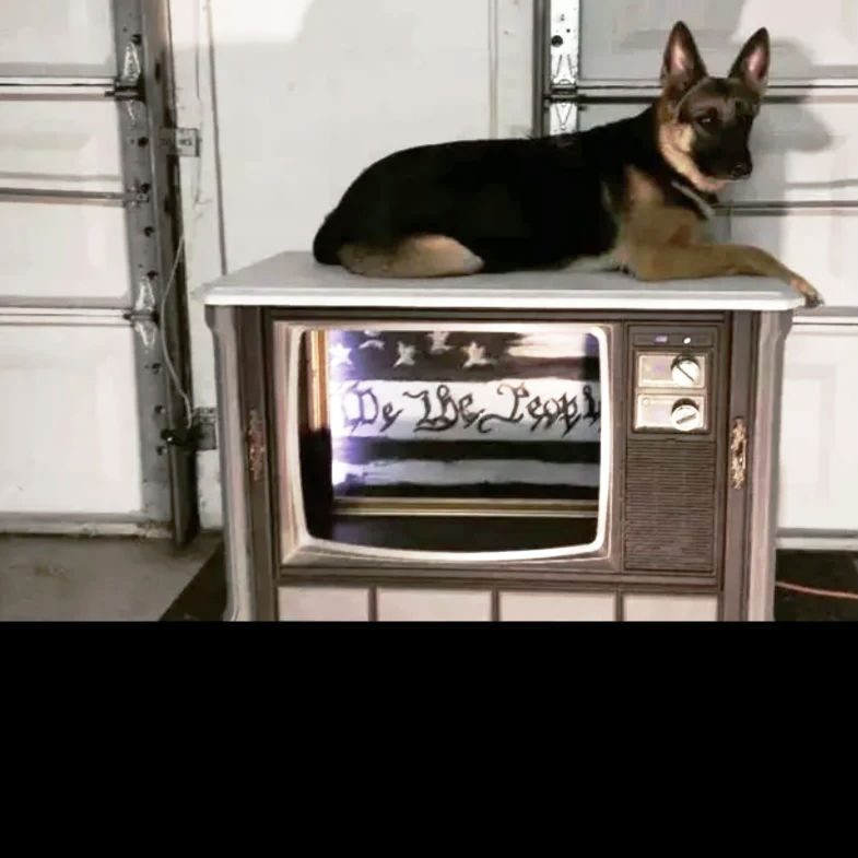 Gutted TV reflecting Life