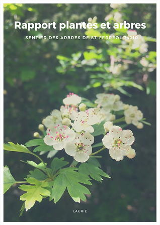 Capture d’écran 2021-07-16 à 10.21.41.png