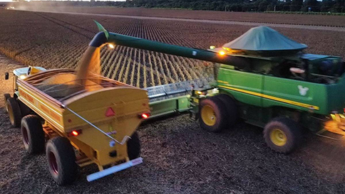 Brasil enfrenta déficit recorde de armazéns para grãos em meio à supersafra