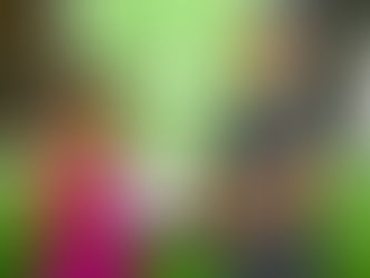 Morar Melhor ultrapassa marca de 1,7 mil casas reformadas em Fazenda Coutos