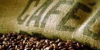 Exportadores brasileiros de café alertam para cenário mais difícil após revisão tarifária dos EUA