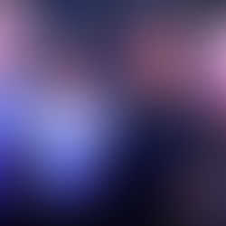 Evento em Feira de Santana marca lançamento oficial da chapa de ACM Neto ao governo da Bahia