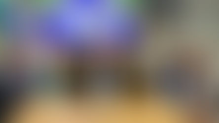 ACM Neto sinaliza apoio a Flávio Bolsonaro e filiação de Aroldo Cedraz reforça o PL na Bahia