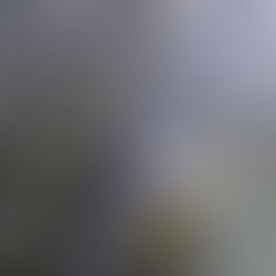 Dólar abre em queda com mercado atento a leilão do BC e PIB dos EUA