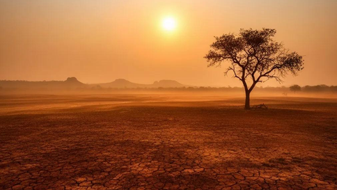 Bahia amplia alertas sobre calor intenso e efeitos do El Niño