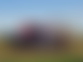 Falta de diesel interrompe colheita de arroz no Rio Grande do Sul