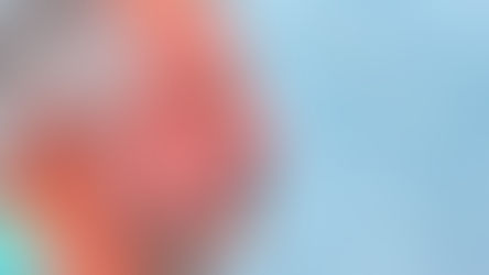 Sul da Bahia pode eleger primeiro senador da região em mais de um século