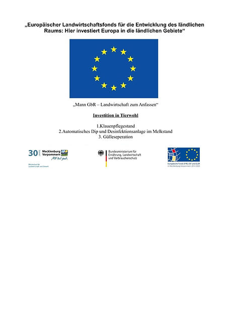 Unbenannt EU Förderung.jpg