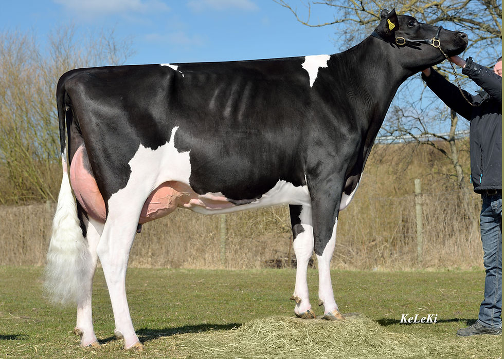 MPH Sprite_LA1_13.04565874_Sid_1.58866.j