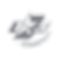 BV%20175_BW_edited