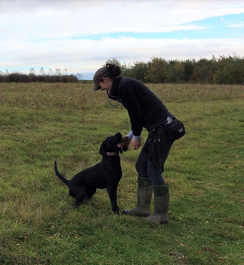 Liz Dog Trainer with Black Lab in Field