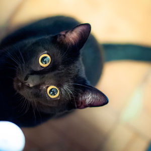 pexels-cottonbro-9836451 new 2.jpg