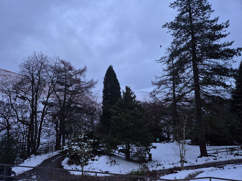 Looking out from the hostel entrance