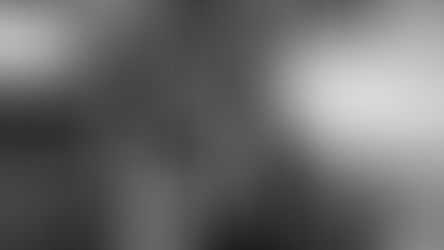 Aaron and Lindsay's Wedding in Atherton, California